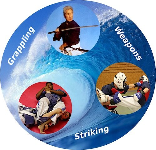 Yoseikan Budo Techniques